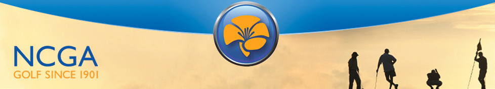 Tournament Pairing Program Online