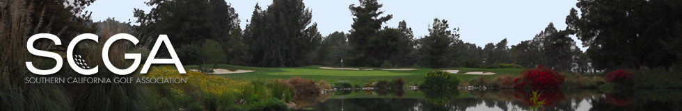 Tournament Pairing Program Team Play Module
