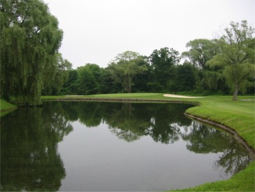http://www.csgalinks.org